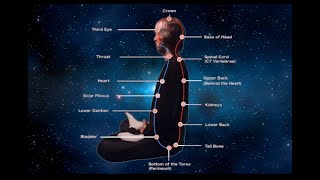 THE MICROCOSMIC ORBIT  ULTIMATE VERSION Powerful Qigong Healing Meditation [upl. by Harat]