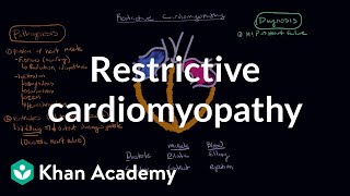 FEV1 FVC Ratio  Pulmonary Medicine  Obstructive VS Restrictive Lung Disease  Respiratory Physio [upl. by Malarkey123]