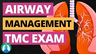 Airway Management TMC Practice Questions  Respiratory Therapy Zone [upl. by Arec759]