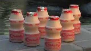 Yakult Probiotics and Your Health [upl. by Trev711]