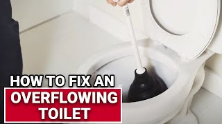 How To Fix An Overflowing Toilet  Ace Hardware [upl. by Llehcam]