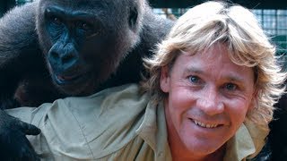 The Untold Truth Of Steve Irwin [upl. by Toinette]