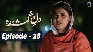 DileGumshuda  EP 28  6th Nov 2019  HAR PAL GEO DRAMAS [upl. by Adnohsel55]