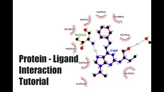 ProteinLigand Interaction Tutorial [upl. by Kelley]