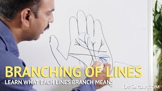 Branching of Lines in Hand  Palmistry [upl. by Nyliac]