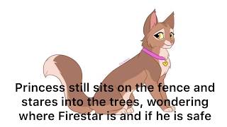 Warrior Cats Facts 1 [upl. by Akcinahs528]