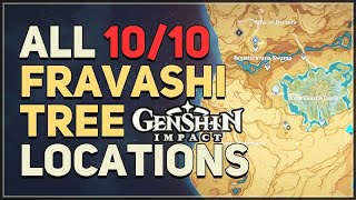 All 10 Fravashi Tree Locations Genshin Impact [upl. by Walter650]