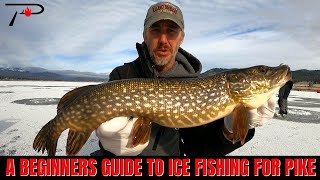 A Beginners Guide To Ice Fishing For Pike [upl. by Hcirdeirf]