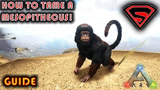 ARK HOW TO TAME A MESOPITHECUS  EVERYTHING YOU NEED TO KNOW ABOUT TAMING A MESOPITHECUS [upl. by Marc]