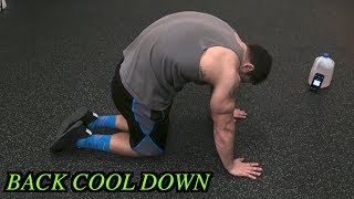 5 Minute Back Static Stretching Routine  Cool Down [upl. by Gnourt20]