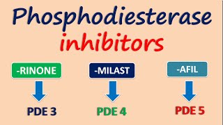 Phosphodiesterase inhibitors [upl. by Aufa]