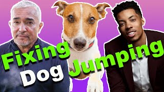 How To Stop A Dog From Jumping FtMelvin Gregg [upl. by Crystal]