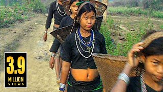 বান্দরবানের আকর্ষণীয় পাহাড়ি জীবন  LIFESTYLE OF HILLY BANDARBAN IN BANGLADESH [upl. by Feer]