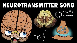 THE NEUROTRANSMITTER SONG [upl. by Etnomal511]