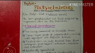 Phylum platyhelminthes characters and classification explain [upl. by Hallam]