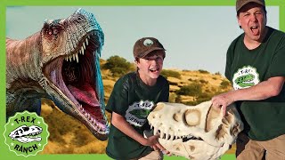 Dinosaur Adventure in the Desert  TRex Ranch 40 MINS of Kids Videos [upl. by Timrek]