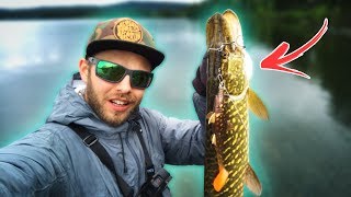 4 Tips for PIKE FISHING from the Shore 🐊 [upl. by Celin]