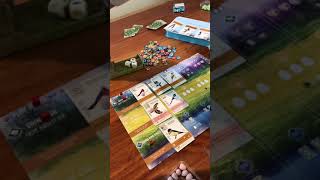 Wingspan Board Game – Could Be Better [upl. by Freddy]