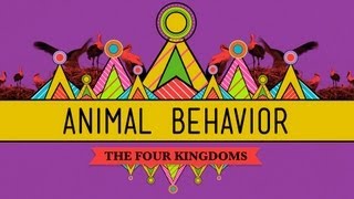 Animal Behavior  CrashCourse Biology 25 [upl. by Keheley]