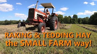 the basics of raking amp tedding hay [upl. by Welby]