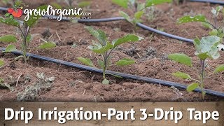 Drip IrrigationPart 3Using Drip Tape [upl. by Ellsworth822]