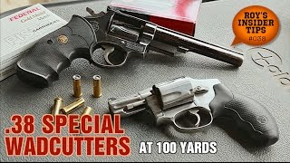 38 Special Wadcutters At 100 Yards [upl. by Randie]