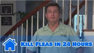 Home Pest Control  How to Kill Fleas in 24 Hours [upl. by Weinert]