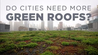 How Green Roofs Can Help Cities  NPR [upl. by Nivrek]