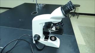 Compound Microscope Tutorial  Boston University Biology [upl. by Verena]