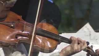 Niccolo Paganini  God save the King LIVE [upl. by Nnairam]