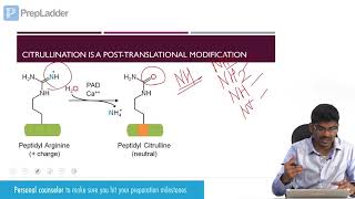 Adhesion in Leukocyte Extravasation [upl. by Goines275]