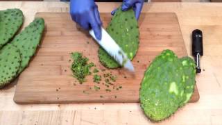 How to Prepare Nopales Cactus Pads  Sunset [upl. by Etta]