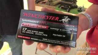 At the Range Winchester 17 HMR vs 17 WSM [upl. by Janiuszck556]