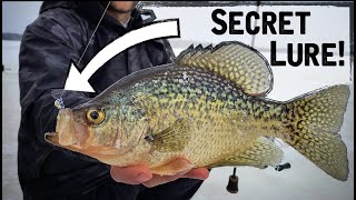 quotSecret Lurequot CRUSHES Ice Fishing Crappies [upl. by Ybbob]