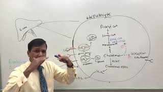 UT Southwestern at the AHA Scientific Sessions 2017 [upl. by Ambie]