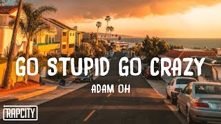 Adam Oh  GO STUPID GO CRAZY Lyrics [upl. by Merrili]