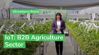 IoT Powering the Digital Economy  The B2B Agriculture Sector  Schneider Electric [upl. by Anoval452]