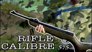 Review rifle Mendoza de calibre 55  FreeLife [upl. by Hearn502]