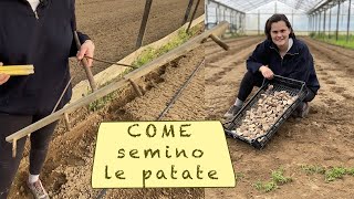 COME SEMINARE LE PATATE [upl. by Also]