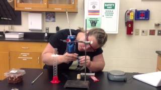 Calorimetry with a Peanut [upl. by Dyanna]