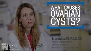 Ovarian Cyst Causes Symptoms and Treatment [upl. by Jezabella]