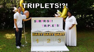 Gender Reveal Surprise Triplets [upl. by Ennagem]