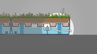 HydroVentiv® the BlueGreen Roof for Advanced Stormwater Management [upl. by Oiled]