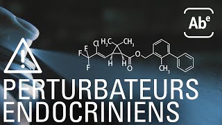 Perturbateurs endocriniens les enfants contaminés ABERTS [upl. by Cherye528]