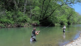 MISSOURI OZARK MOUNTAINS THIS WATER IS AMAZING Fly Fishing Little Piney amp Lane Springs Rolla MO [upl. by Millda]