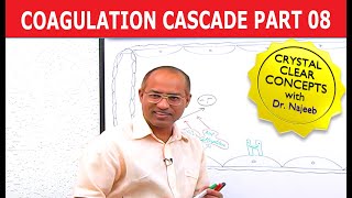 Coagulation Cascade  Part 812 [upl. by Sarkaria]