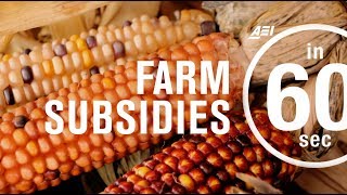 Farm subsidies How effective are they  IN 60 SECONDS [upl. by Hsac253]