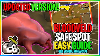 OSRS  How To Kill Bloodvelds Using RangeMelee amp Cannon   EVERYTHING YOU NEED TO KNOW [upl. by Walley]