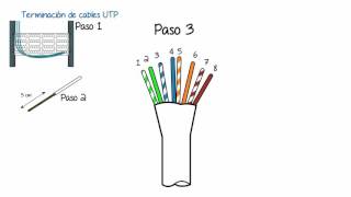 Terminación de cables UTP [upl. by Ecirtnahc]