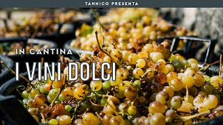 Il vino dolce  Tannico Flying School [upl. by Edniya]